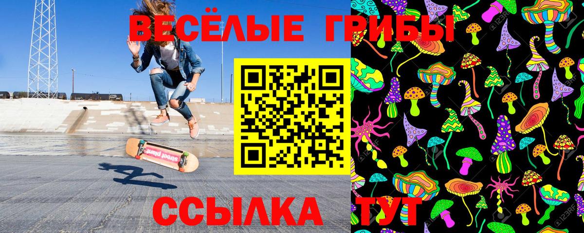 Псилоцибиновые грибы Magic Shrooms Зима