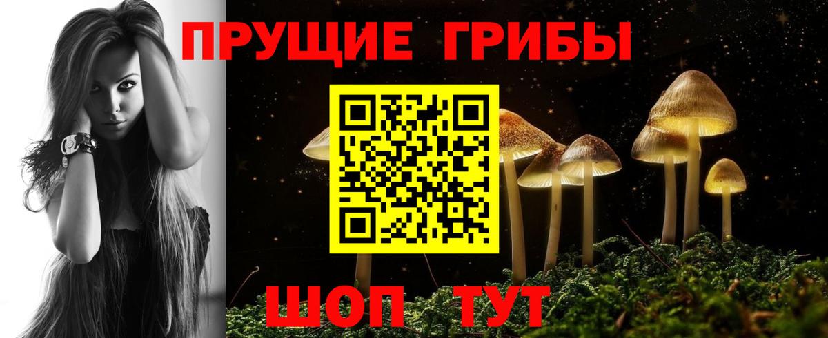 Зима  Галлюциногенные грибы прущие грибы  Псилоцибиновые грибы GOLDEN TEACHER  Вход с VPN 