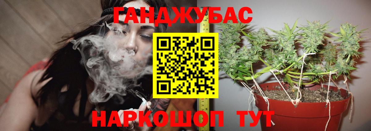 Марихуана конопля Зима